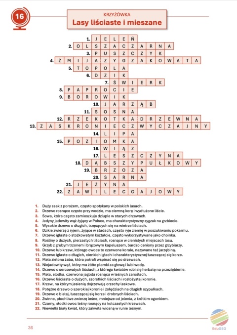 ZAPOWIEDŹ! Krzyżówki i wykreślanki geograficzne. Klasa 5